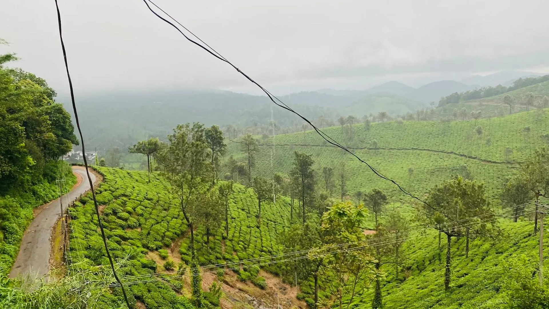 Cloudy Cottage Vagamon